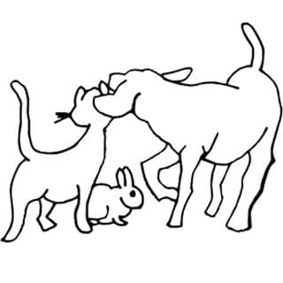 Logo Tierärztliche Gemeinschaftspraxis Dr. Skupin und Dr. Lenhard