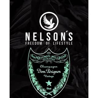 Logo NELSON'S