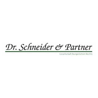 Logo Dr. Schneider & Partner GbR