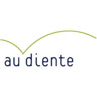 Logo Audiente Institut