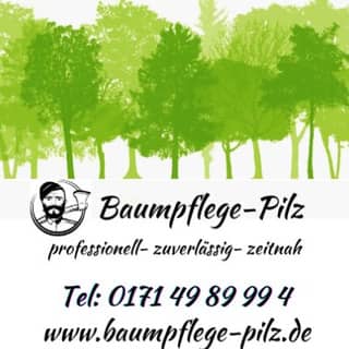 Logo Baumpflege Pilz Inh. Martin Pilz