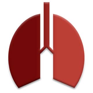 Logo Lungenfachärztliche Gemeinschaftspraxis Ern, Trilling, Platen - Pneumologie - Allergologie - Schlafmedizin