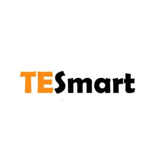 Logo TESmert GmbH