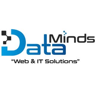 Logo Data Minds Webdesign Erlangen