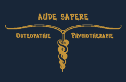 Logo Therapeuticum  Dirk Fleger