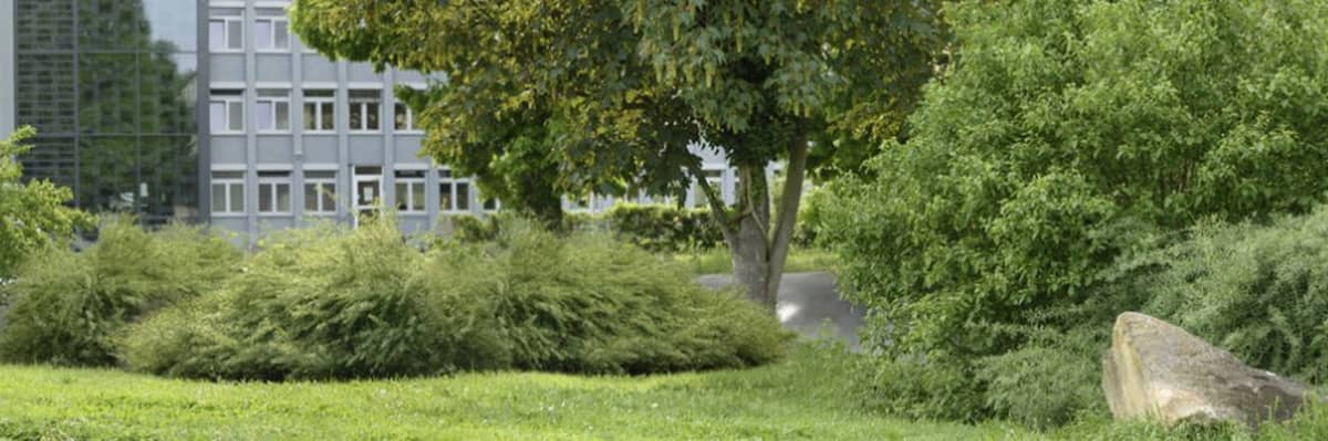 Headerbild