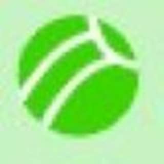 Logo Dirk Heinrichs Krankengymnast