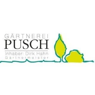 Logo Blumen Pusch (Inhaber) Dirk Hahn