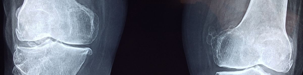 Headerbild