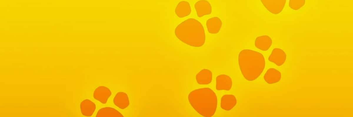Headerbild