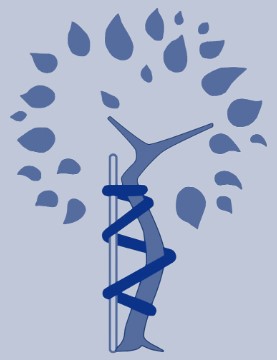 Logo Dr. med. Heinz Mangels Orthopäde