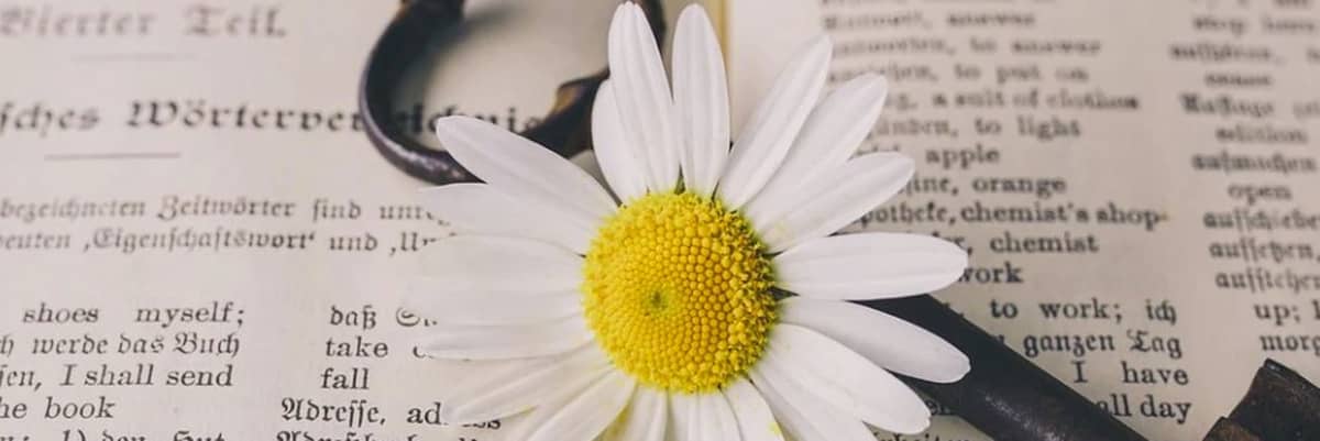 Headerbild