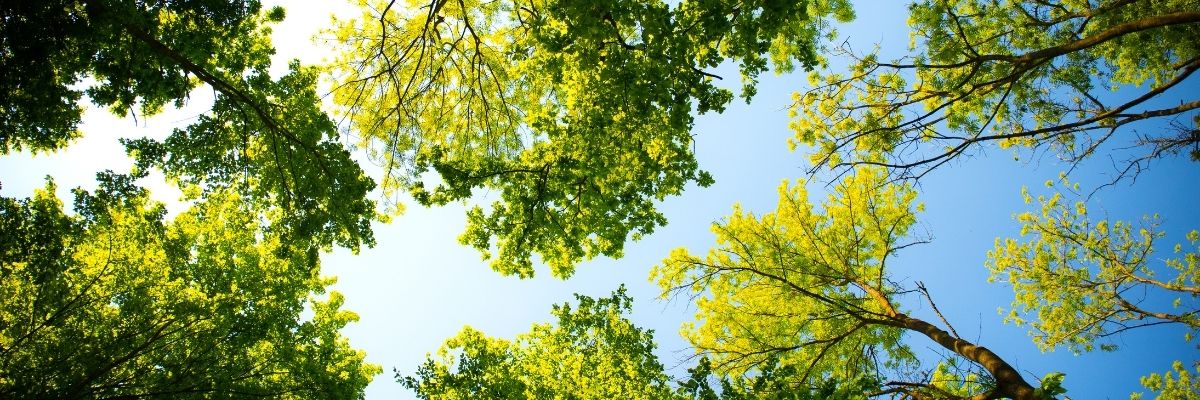 Headerbild