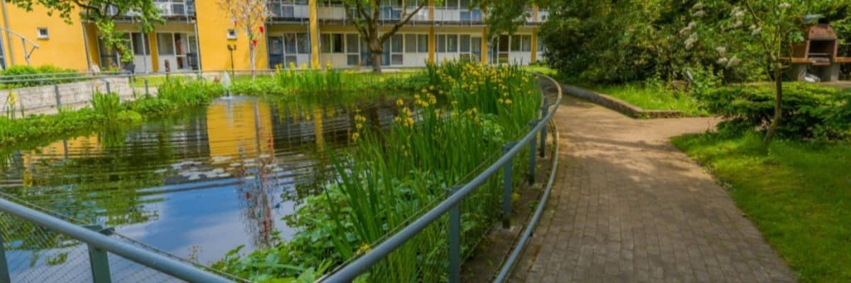 Headerbild