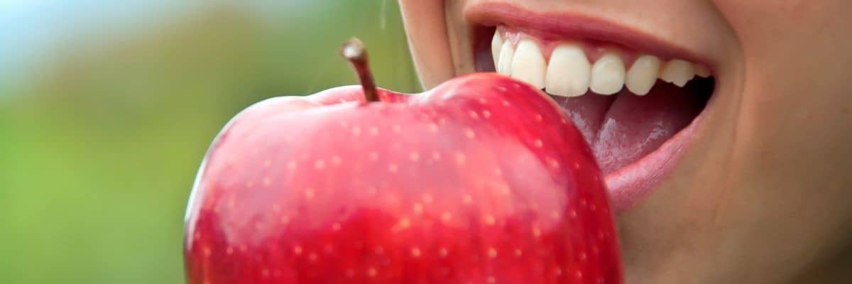 Headerbild