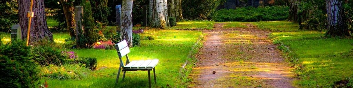 Headerbild