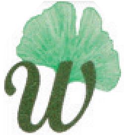 Logo Eva-M.aria Willisch Heilpraktikerin