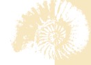 Logo Prof. Dr. med. Eberhard Walther HNO-Arzt