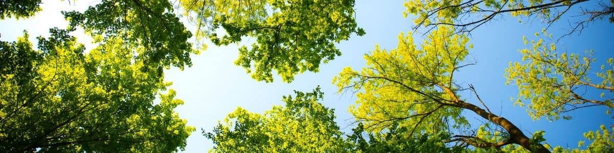 Headerbild