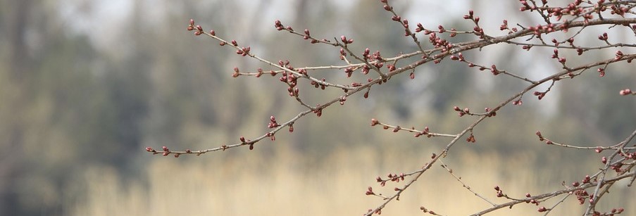 Headerbild
