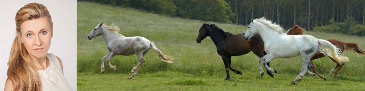 Headerbild