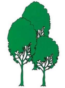 Logo Theo Enders OHG Nachf. M. Enders e.K.