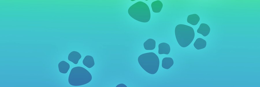 Headerbild