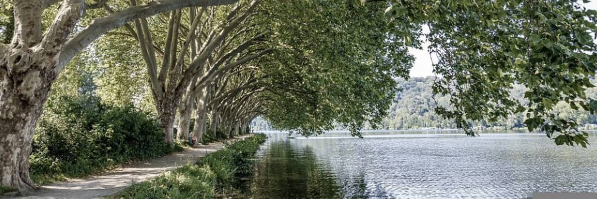 Headerbild
