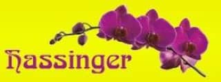 Logo Blumen Hassinger Gärtnerei