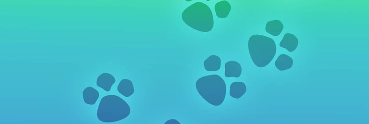 Headerbild