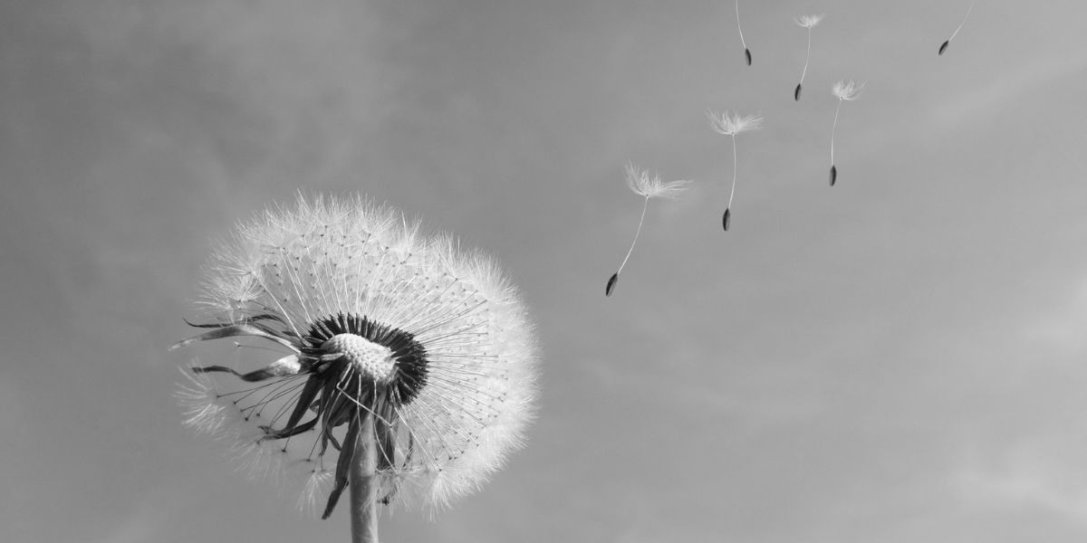 Headerbild