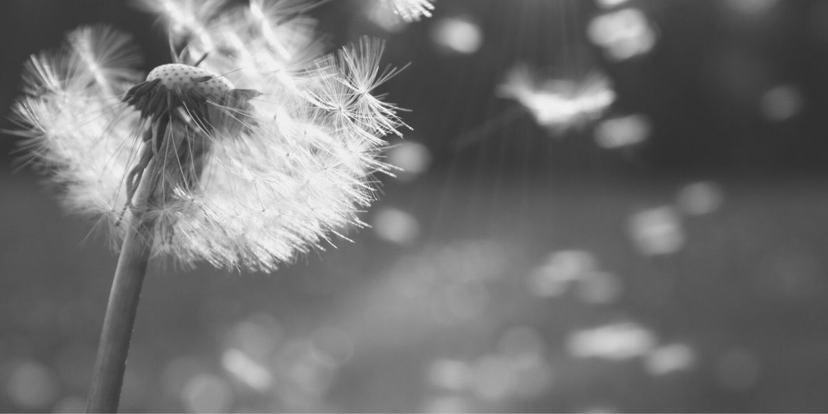 Headerbild