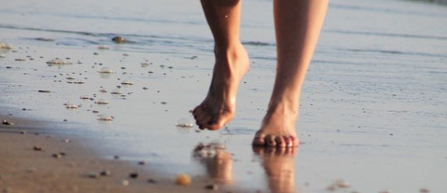 Headerbild