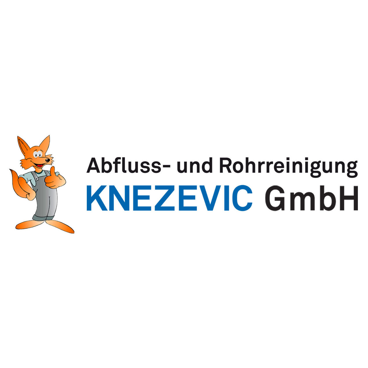 Logo Knezevic GmbH Abfluss- u. Rohrreinigung