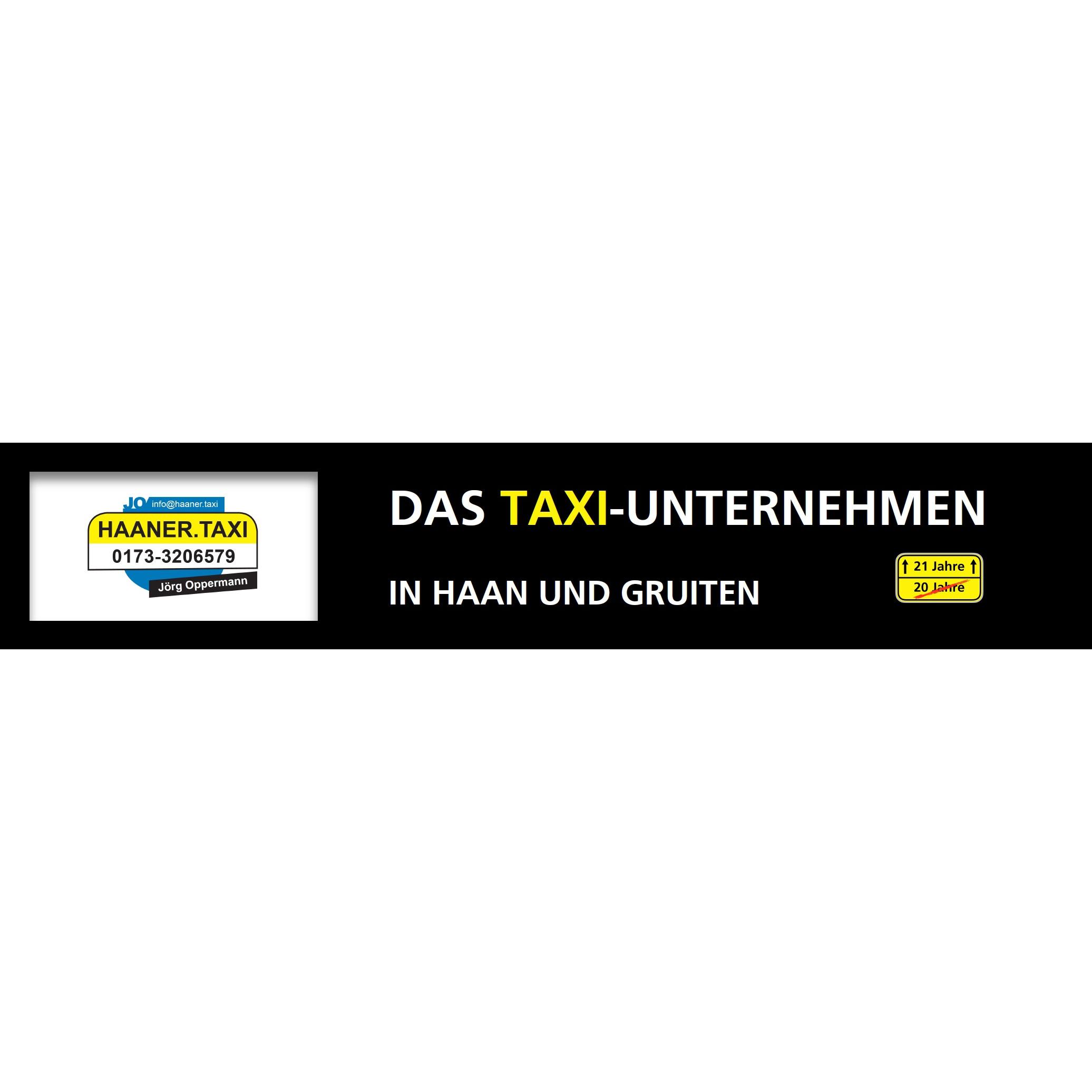 Logo Taxi Haan& Gruiten