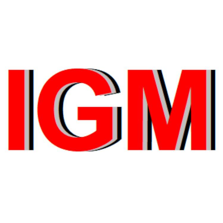 Logo IGM Ingenieurbüro Giso Müller KFZ-Sachverständigen-Büro