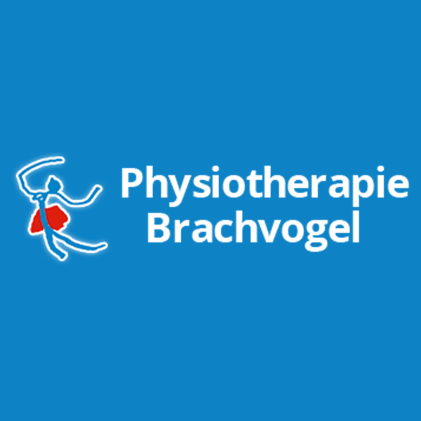 Logo Brachvogel Praxis für Physiotherapie