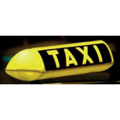 Logo Taxi Lorenz