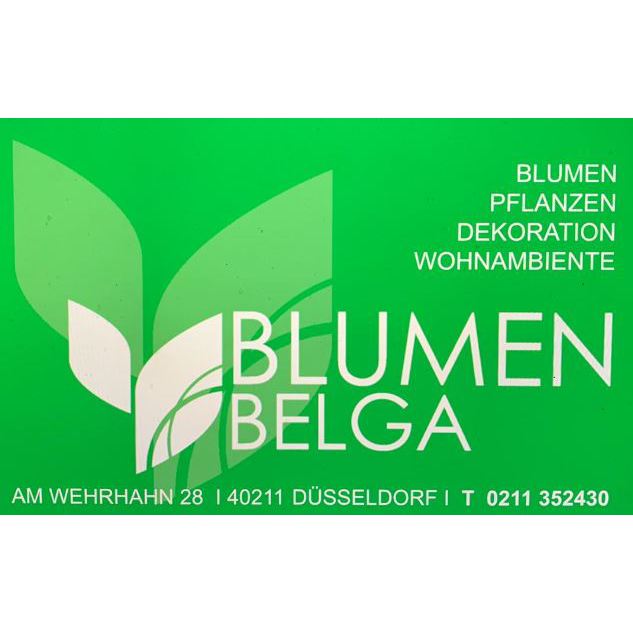 Logo Said Belga