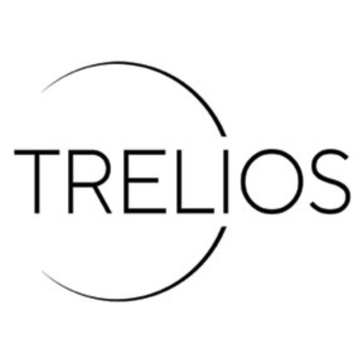 Logo Trelios SEO, Webdesign & Werbeagentur Hannover