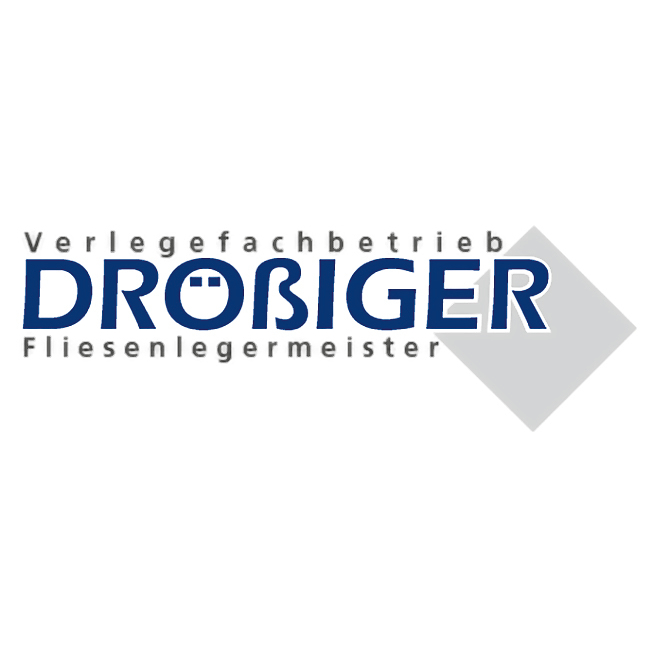 Logo Drößiger Fliesenlegermeister estb. 1995
